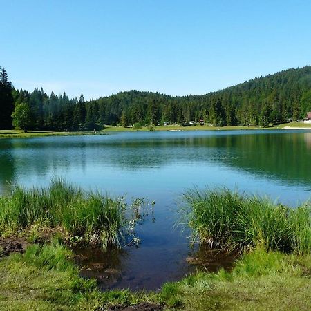 Joli Appartement Au Coeur D'Ойонна Экстерьер фото